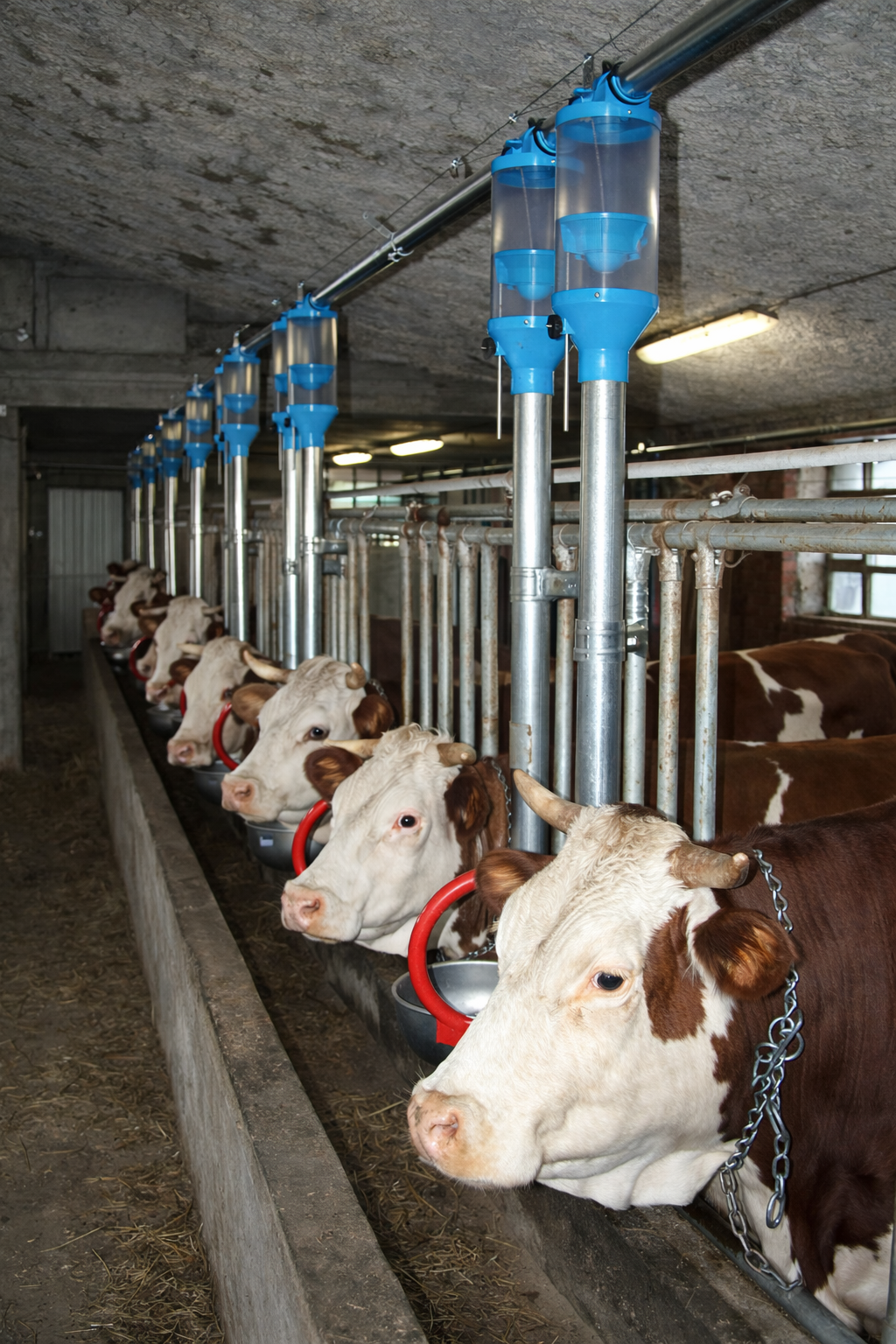 Fixed Housing Stalls